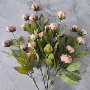 6 Tan Peony Stems By Ashland